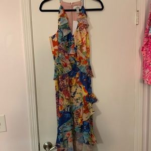 NWT Belle Badgley Mischka Floral Dress